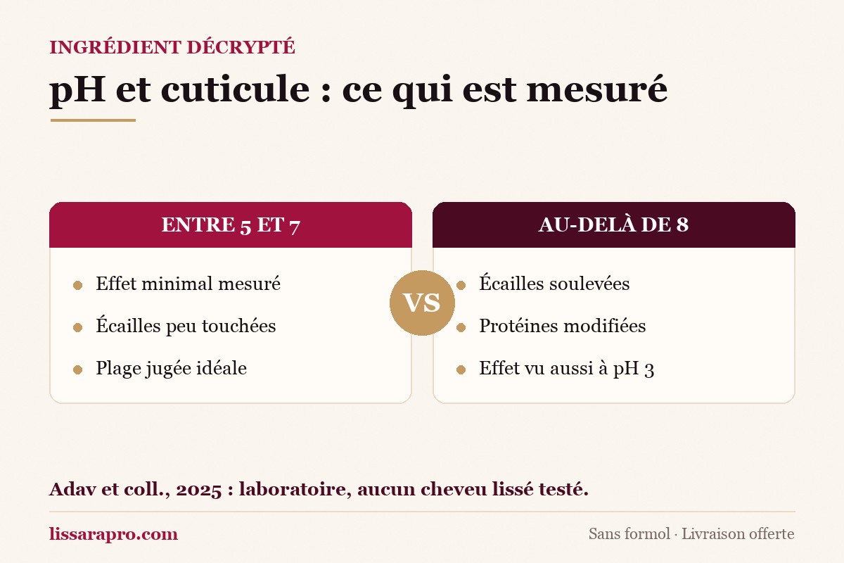 Infographie : entre pH 5 et 7, effet minimal sur la cuticule ; au-delà de pH 8, écailles soulevées et protéines modifiées, d’après une étude de laboratoire